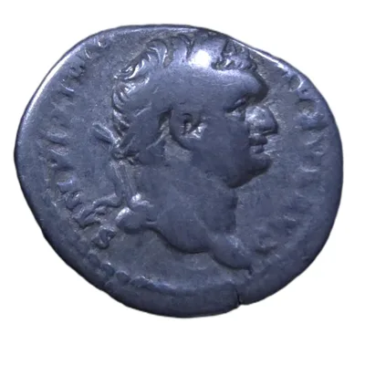 Equestrian Denarius of Domitian
