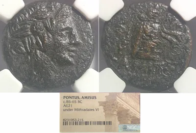 PONTUS, AMISUS 85-65 BC, AE21 NGC (HG)