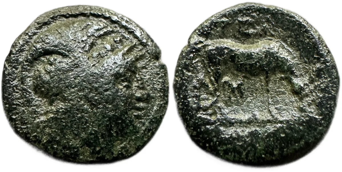 Macedon, Pella, after 148 BC. Athena/Ox