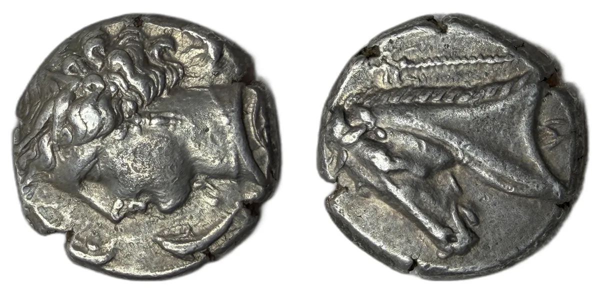 Siculo-Punic Arethusa & Horse Tetradrachm NGC VF Removed from Slab
