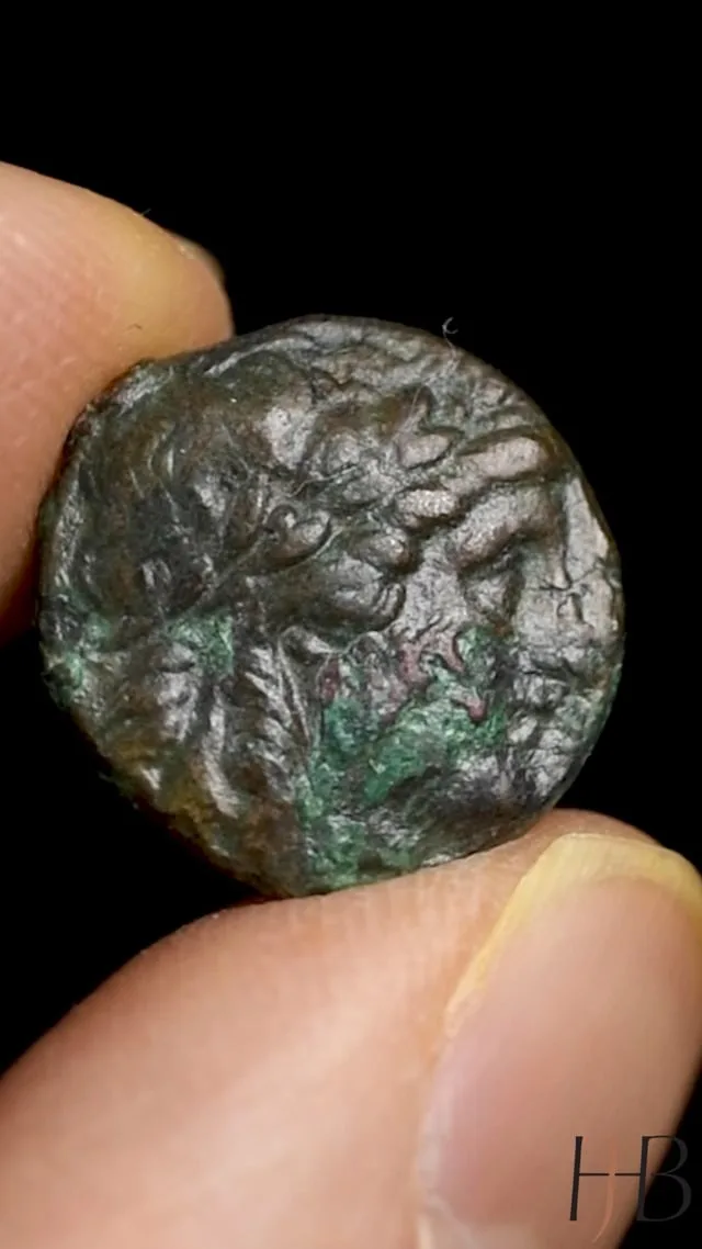 Syria, Antiochus II, 261-246 BC. AE 16