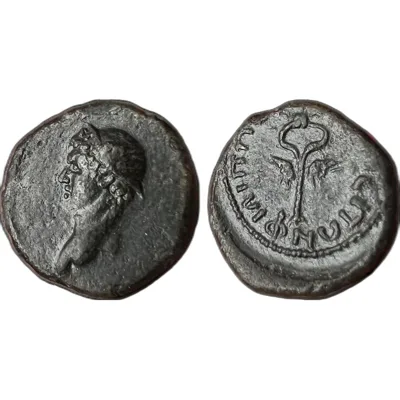 Rare Ancient Greek Coin Philippopolis Thrace Hermes Caduceus AE 2nd Century AD