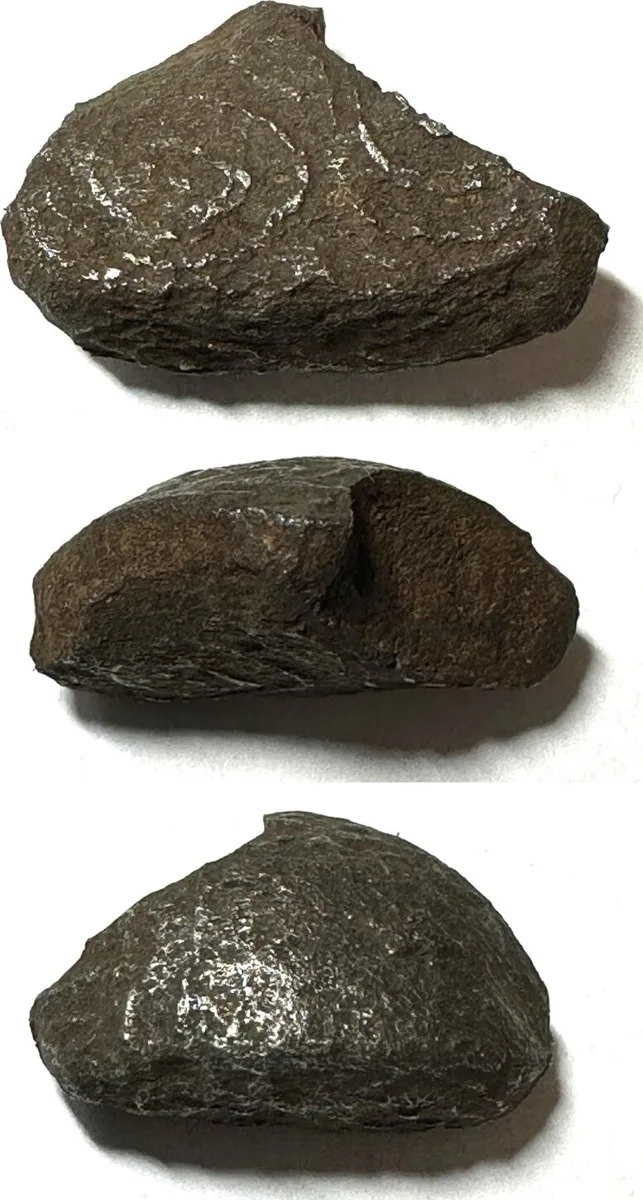 1700 NORTH BORNEO SULTANATE. Iron Bullet Money about 1700, irregular shape RARE! EF
