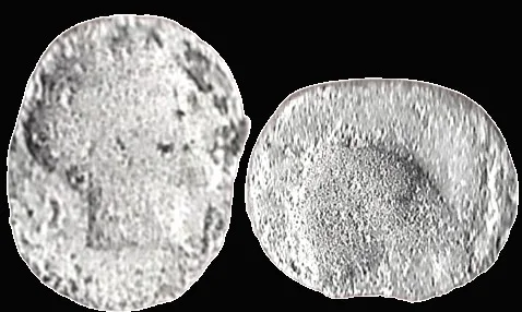 Troas, Kebren AR 9.1mm X 6.4mm .31gm Obol. Apollo / Ram