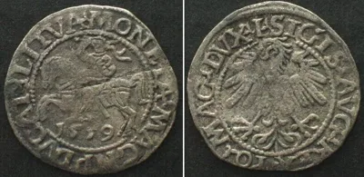 1559 LITHUANIA. 1/2 Groschen 1559, SIGISMUND II of POLAND, silver, XF! EF