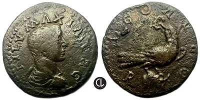 Troas, Alexandria Troas, time of Maximinus I Thrax, as Caesar, AE, 235-238 AD – Eagle – RRRRR