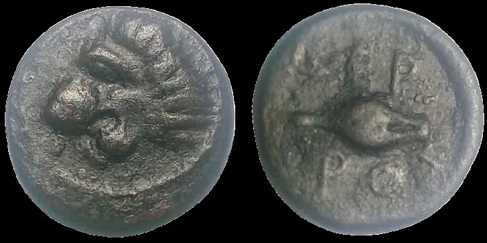 Thrace, Chersonesos 386-309 BC AE 13mm 2gm Lion - Barley grain, Scarce