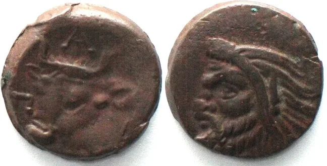 325-310 CIMMERIAN BOSPOROS. Pantikapaion, AE 17mm 325-310 BC, Pan / bull AU!