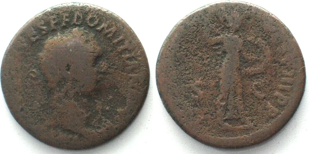82 DOMITIAN (81-96 AD). AE As, Minerva, 82 AD, F+