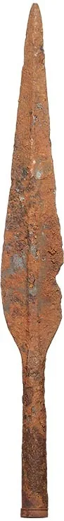 Celtic Iron Spear Head