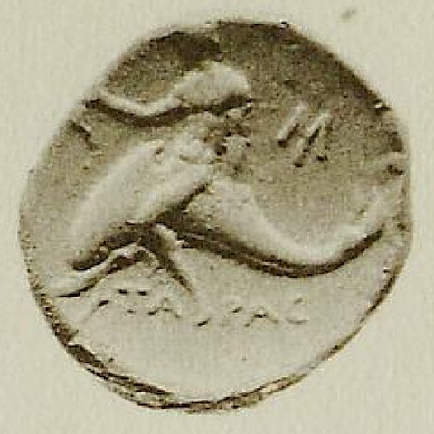 Catalog match, reverse