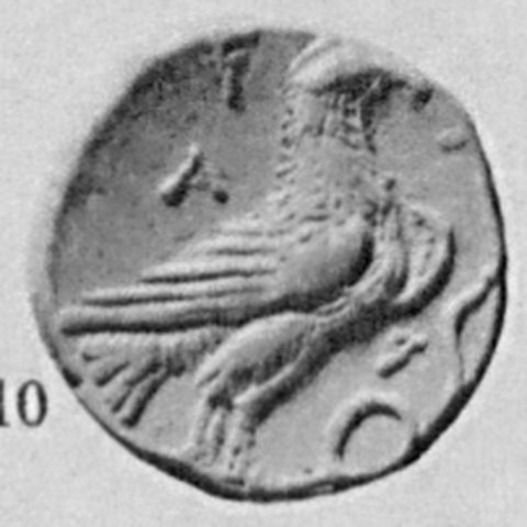 Catalog match, reverse