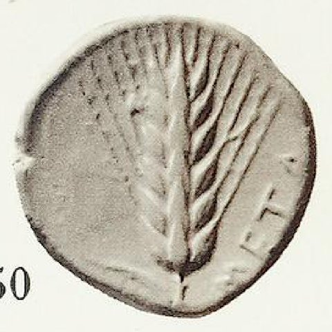 Catalog match, reverse
