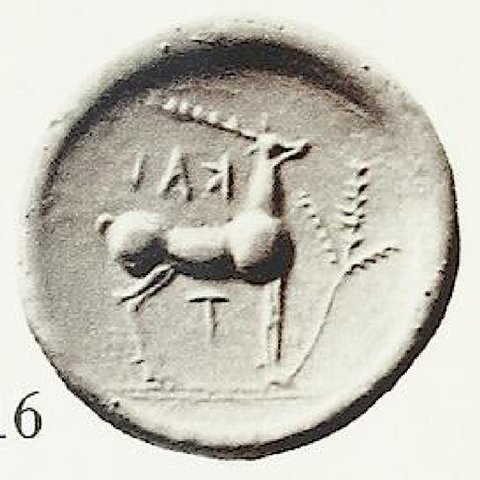 Catalog match, reverse