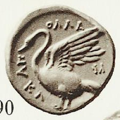 Catalog match, reverse