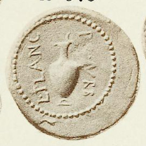 Catalog match, reverse