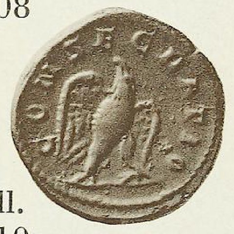 Catalog match, reverse