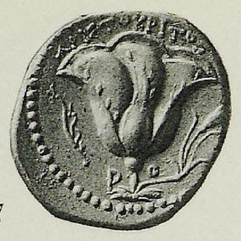 Catalog match, reverse