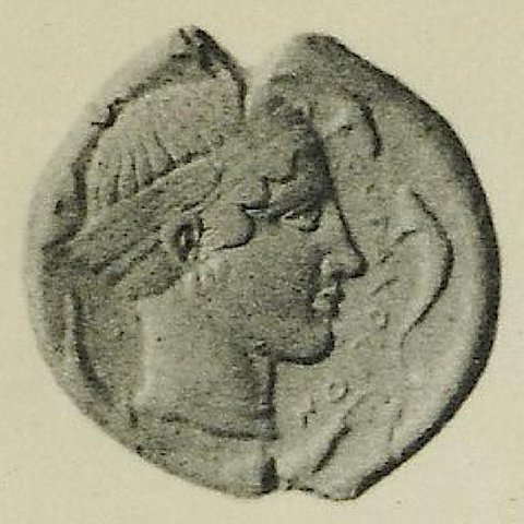 Catalog match, reverse