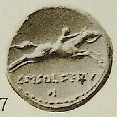 Catalog match, reverse