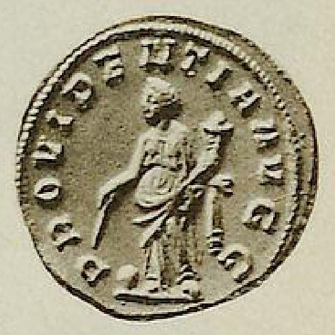 Catalog match, reverse