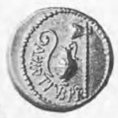 Catalog match, reverse