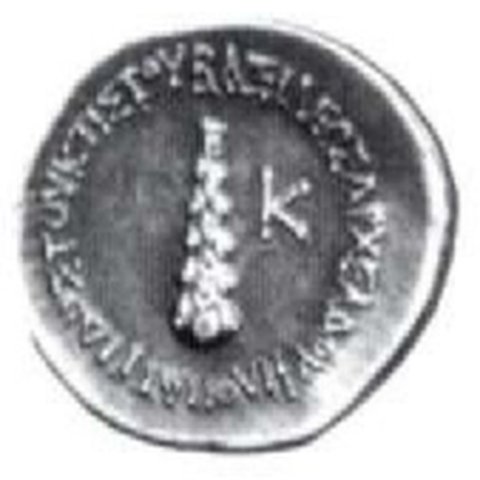 Catalog match, reverse