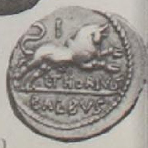 Catalog match, reverse