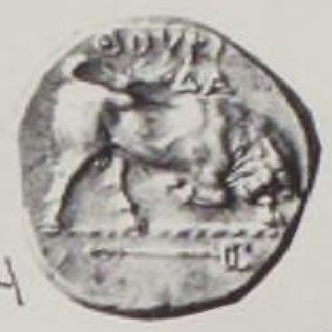 Catalog match, reverse