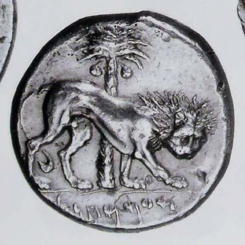 Catalog match, reverse