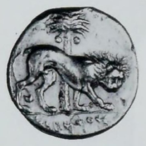 Catalog match, reverse