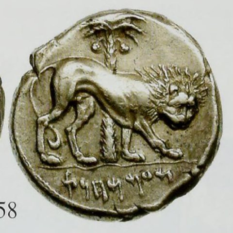 Catalog match, reverse