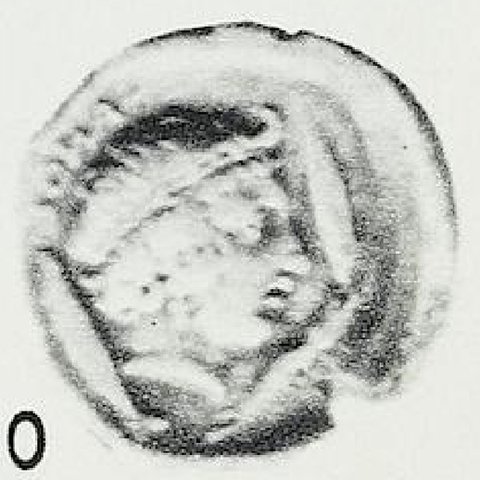 Catalog match, reverse