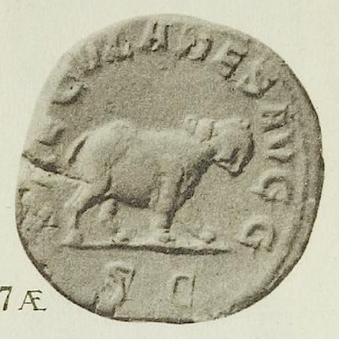 Catalog match, reverse