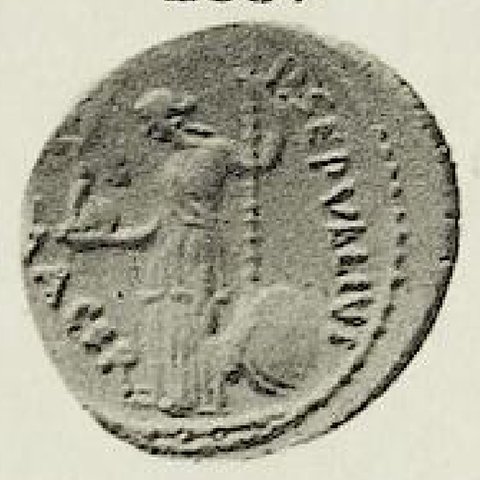 Catalog match, reverse
