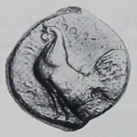 Catalog match