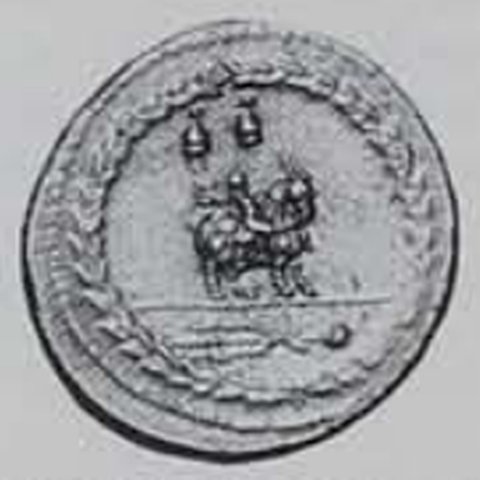 Catalog match, reverse