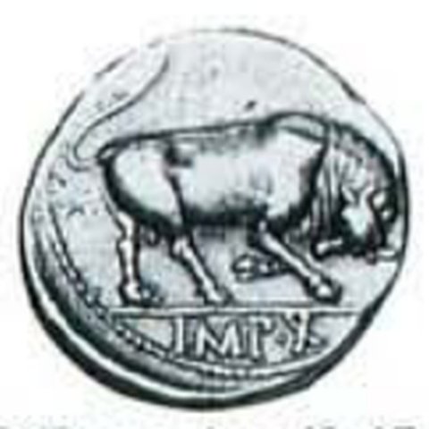 Catalog match, reverse