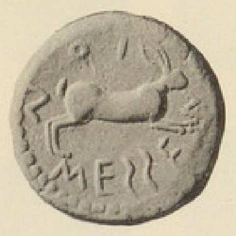 Catalog match, reverse