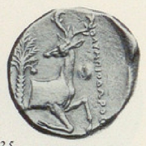 Catalog match, reverse