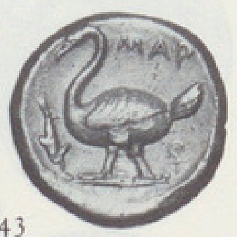 Catalog match, reverse