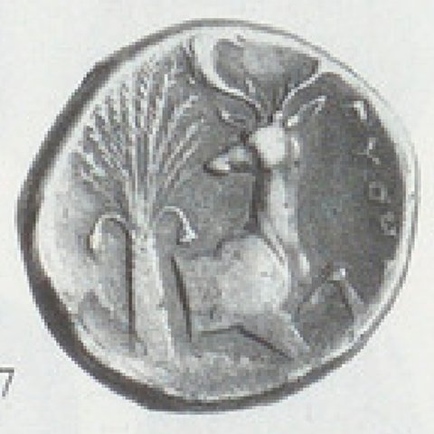 Catalog match, reverse