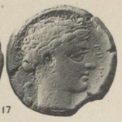 Catalog match, reverse