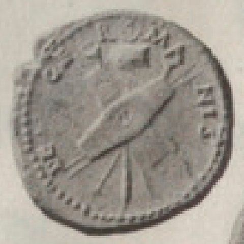 Catalog match, reverse