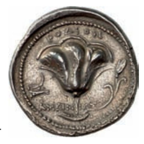 Catalog match, reverse