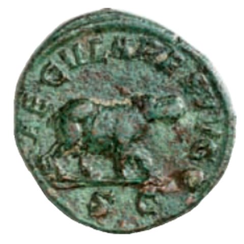 Catalog match, reverse