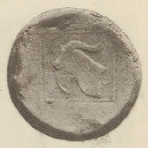 Catalog match, reverse