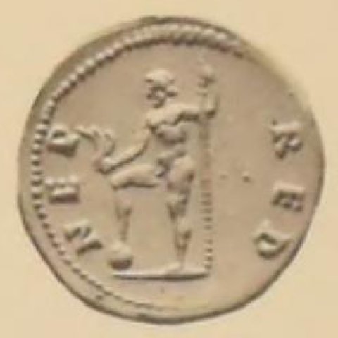 Catalog match, reverse