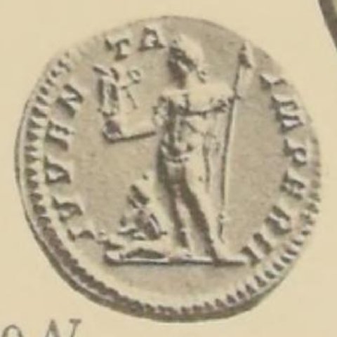 Catalog match, reverse