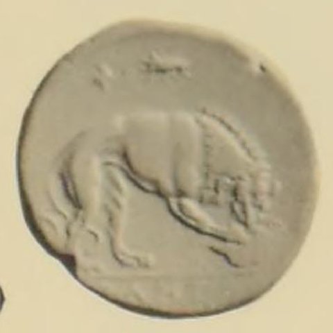 Catalog match, reverse